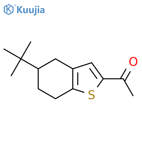 1-(5-tert-butyl-4,5,6,7-tetrahydro-1-benzothiophen-2-yl)ethan-1-one structure