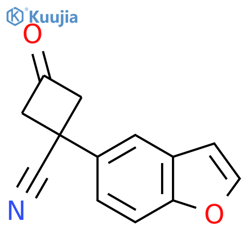 1-(1-benzofuran-5-yl)-3-oxocyclobutane-1-carbonitrile structure