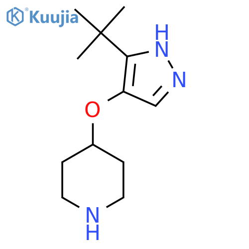 4-(3-tert-butyl-1H-pyrazol-4-yl)oxypiperidine structure