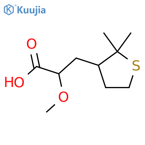 3-(2,2-dimethylthiolan-3-yl)-2-methoxypropanoic acid structure