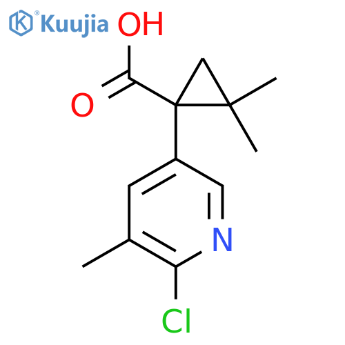1-(6-chloro-5-methylpyridin-3-yl)-2,2-dimethylcyclopropane-1-carboxylic acid structure