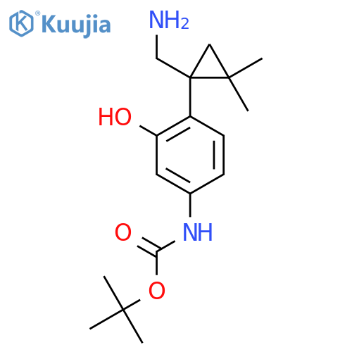 tert-butyl N-{4-1-(aminomethyl)-2,2-dimethylcyclopropyl-3-hydroxyphenyl}carbamate structure