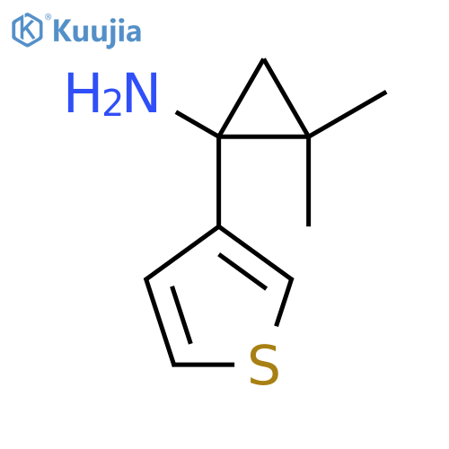 2,2-dimethyl-1-(thiophen-3-yl)cyclopropan-1-amine structure