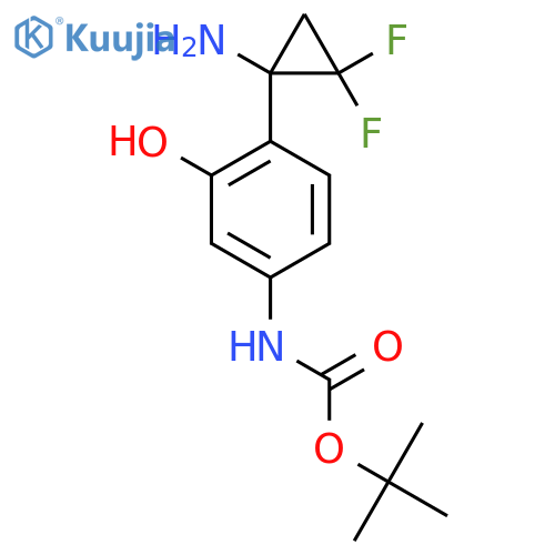 tert-butyl N-[4-(1-amino-2,2-difluorocyclopropyl)-3-hydroxyphenyl]carbamate structure