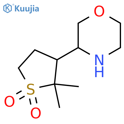 2,2-dimethyl-3-(morpholin-3-yl)-1lambda6-thiolane-1,1-dione structure
