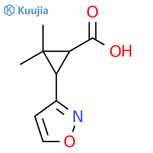 2,2-dimethyl-3-(1,2-oxazol-3-yl)cyclopropane-1-carboxylic acid structure