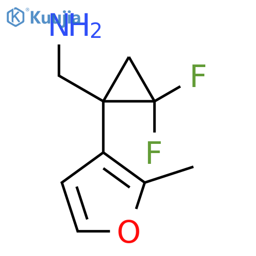 2,2-difluoro-1-(2-methylfuran-3-yl)cyclopropylmethanamine structure