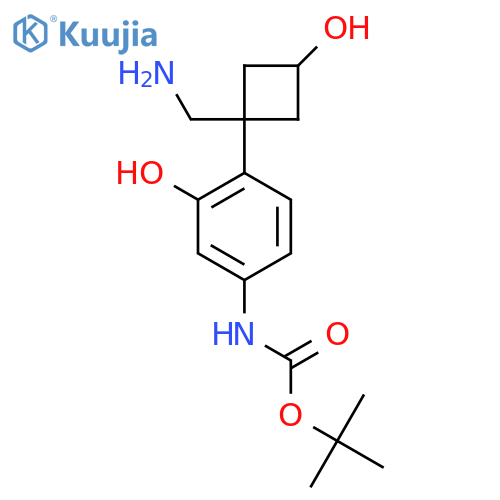 tert-butyl N-{4-1-(aminomethyl)-3-hydroxycyclobutyl-3-hydroxyphenyl}carbamate structure