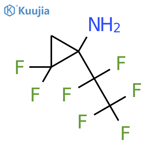 2,2-difluoro-1-(pentafluoroethyl)cyclopropan-1-amine structure