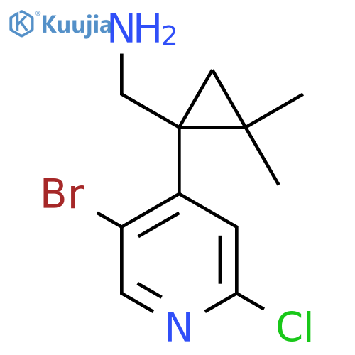 1-(5-bromo-2-chloropyridin-4-yl)-2,2-dimethylcyclopropylmethanamine structure