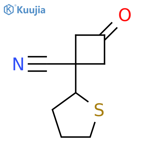 3-oxo-1-(thiolan-2-yl)cyclobutane-1-carbonitrile structure