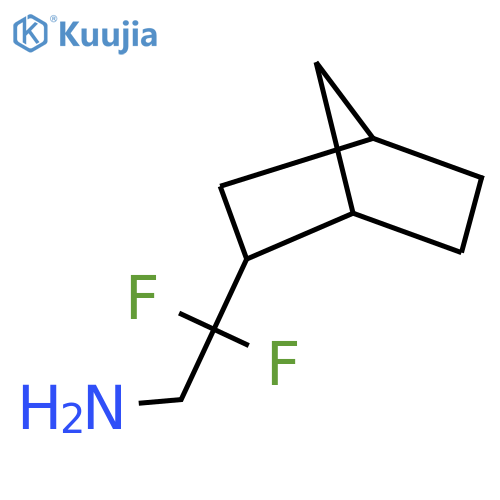 2-{bicyclo2.2.1heptan-2-yl}-2,2-difluoroethan-1-amine structure
