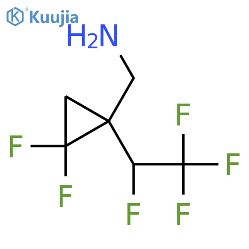 2,2-difluoro-1-(1,2,2,2-tetrafluoroethyl)cyclopropylmethanamine structure