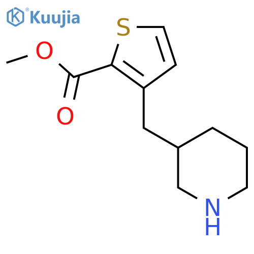 methyl 3-(piperidin-3-yl)methylthiophene-2-carboxylate structure
