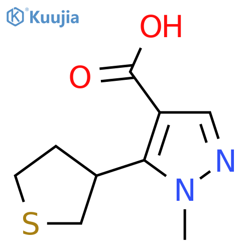 1-methyl-5-(thiolan-3-yl)-1H-pyrazole-4-carboxylic acid structure