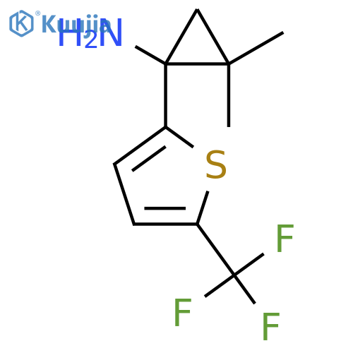 2,2-dimethyl-1-5-(trifluoromethyl)thiophen-2-ylcyclopropan-1-amine structure