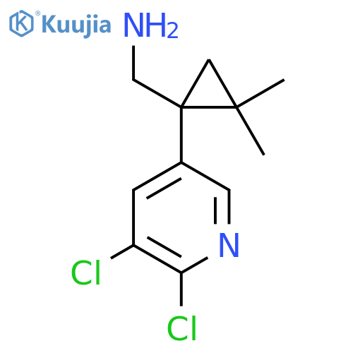 1-(5,6-dichloropyridin-3-yl)-2,2-dimethylcyclopropylmethanamine structure