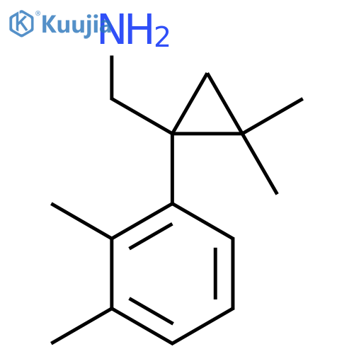 1-(2,3-dimethylphenyl)-2,2-dimethylcyclopropylmethanamine structure