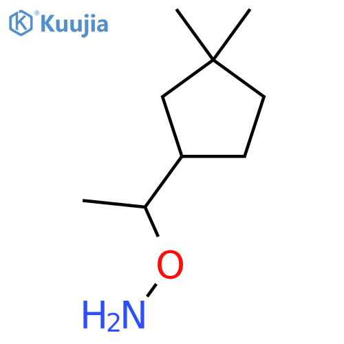 O-1-(3,3-dimethylcyclopentyl)ethylhydroxylamine structure