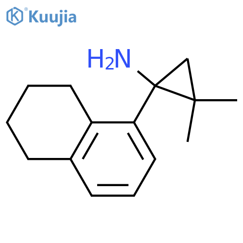 2,2-dimethyl-1-(5,6,7,8-tetrahydronaphthalen-1-yl)cyclopropan-1-amine structure