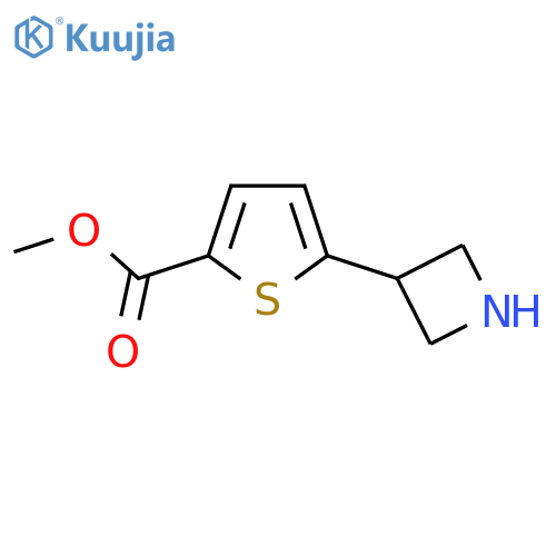 methyl 5-(azetidin-3-yl)thiophene-2-carboxylate structure