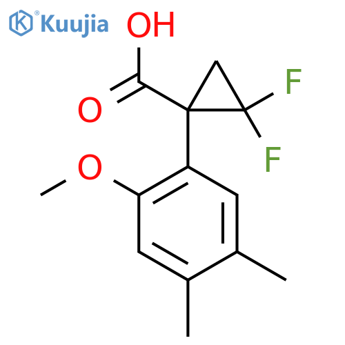 2,2-difluoro-1-(2-methoxy-4,5-dimethylphenyl)cyclopropane-1-carboxylic acid structure
