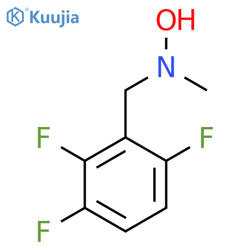 N-methyl-N-(2,3,6-trifluorophenyl)methylhydroxylamine structure