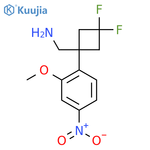 3,3-difluoro-1-(2-methoxy-4-nitrophenyl)cyclobutylmethanamine structure