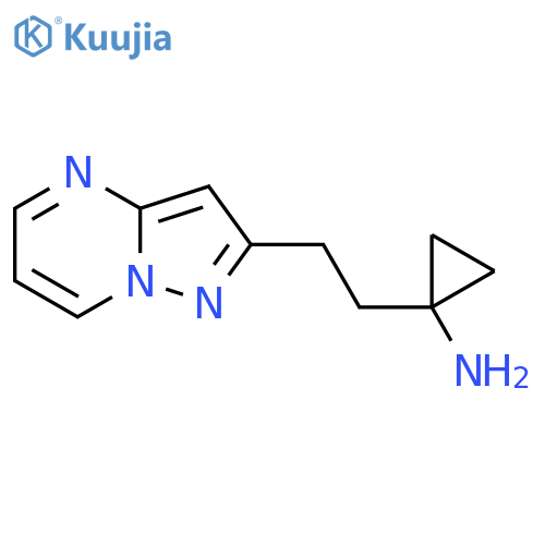 1-(2-{pyrazolo1,5-apyrimidin-2-yl}ethyl)cyclopropan-1-amine structure