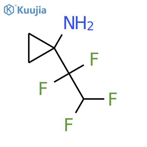 1-(1,1,2,2-tetrafluoroethyl)cyclopropan-1-amine structure