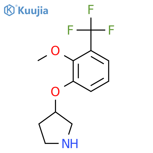 3-2-methoxy-3-(trifluoromethyl)phenoxypyrrolidine structure