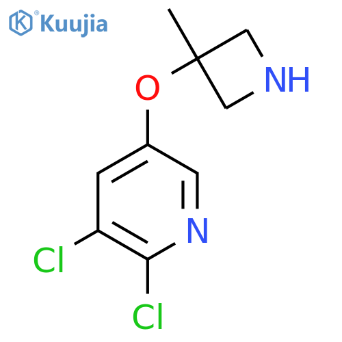 2,3-dichloro-5-(3-methylazetidin-3-yl)oxypyridine structure