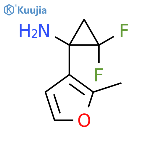 2,2-difluoro-1-(2-methylfuran-3-yl)cyclopropan-1-amine structure