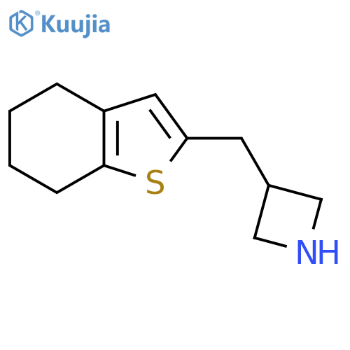 3-(4,5,6,7-tetrahydro-1-benzothiophen-2-yl)methylazetidine structure
