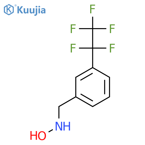 N-{3-(pentafluoroethyl)phenylmethyl}hydroxylamine structure
