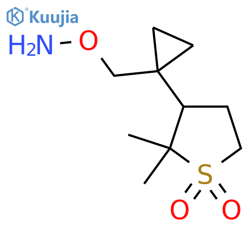 3-{1-(aminooxy)methylcyclopropyl}-2,2-dimethyl-1lambda6-thiolane-1,1-dione structure
