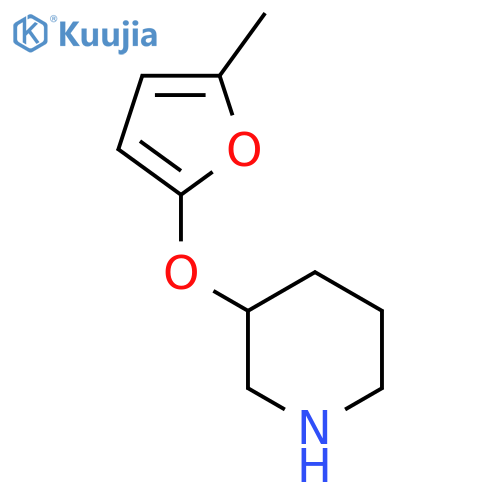 3-(5-methylfuran-2-yl)oxypiperidine structure