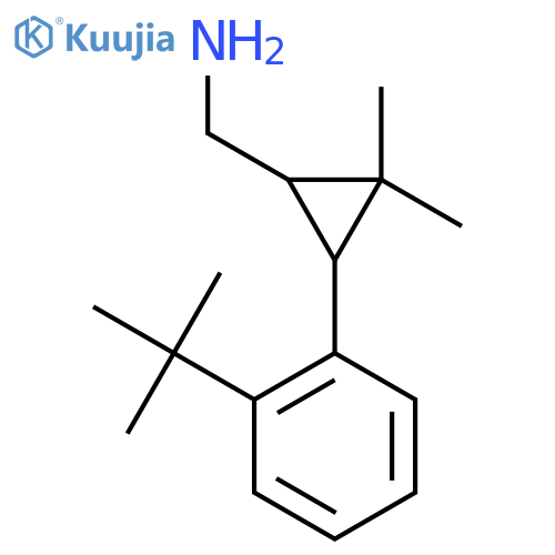 3-(2-tert-butylphenyl)-2,2-dimethylcyclopropylmethanamine structure