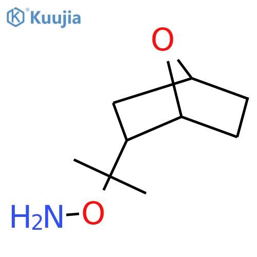 O-(2-{7-oxabicyclo2.2.1heptan-2-yl}propan-2-yl)hydroxylamine structure