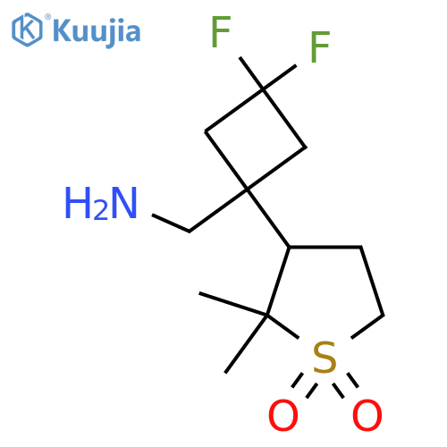3-1-(aminomethyl)-3,3-difluorocyclobutyl-2,2-dimethyl-1lambda6-thiolane-1,1-dione structure