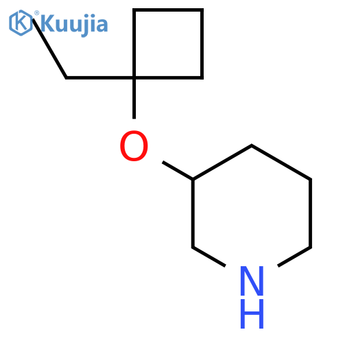 3-(1-ethylcyclobutoxy)piperidine structure