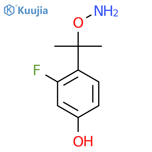 4-2-(aminooxy)propan-2-yl-3-fluorophenol structure