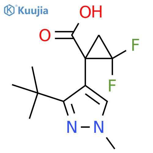 1-(3-tert-butyl-1-methyl-1H-pyrazol-4-yl)-2,2-difluorocyclopropane-1-carboxylic acid structure