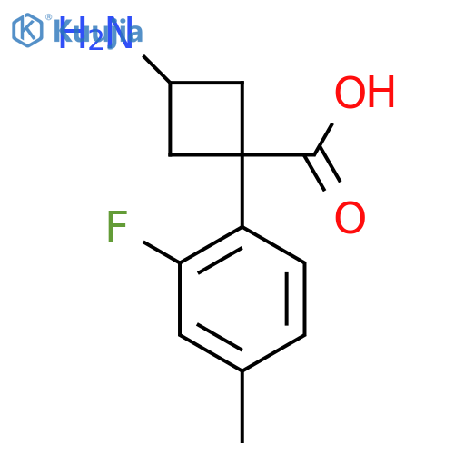 3-amino-1-(2-fluoro-4-methylphenyl)cyclobutane-1-carboxylic acid structure