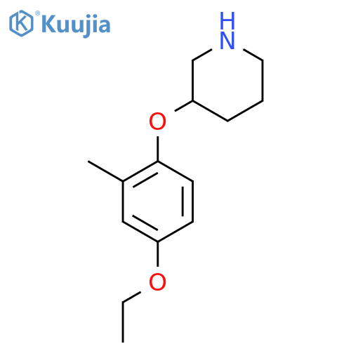 3-(4-ethoxy-2-methylphenoxy)piperidine structure