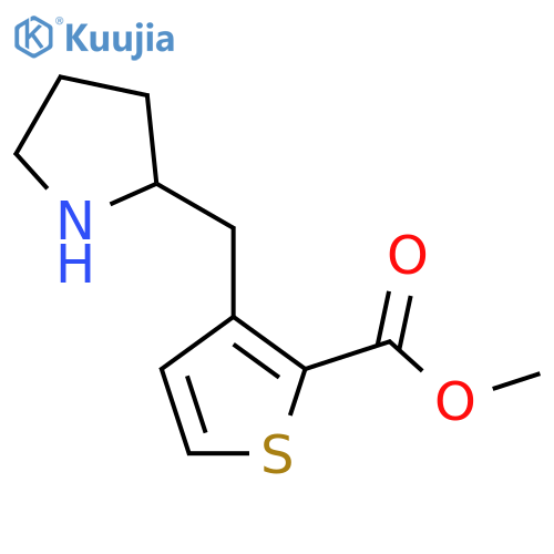methyl 3-(pyrrolidin-2-yl)methylthiophene-2-carboxylate structure