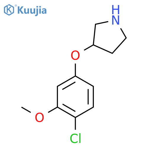 3-(4-chloro-3-methoxyphenoxy)pyrrolidine structure