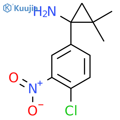 1-(4-chloro-3-nitrophenyl)-2,2-dimethylcyclopropan-1-amine structure