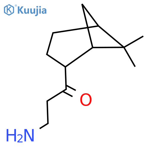 3-amino-1-{6,6-dimethylbicyclo3.1.1heptan-2-yl}propan-1-one structure