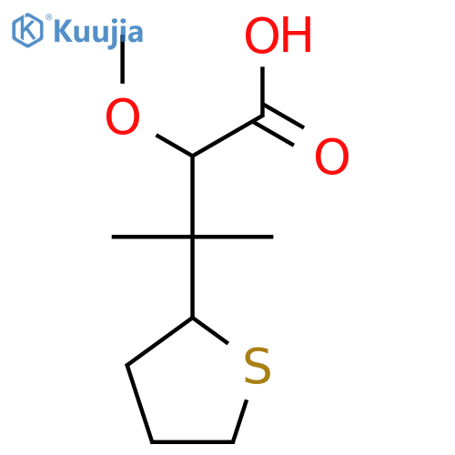 2-methoxy-3-methyl-3-(thiolan-2-yl)butanoic acid structure